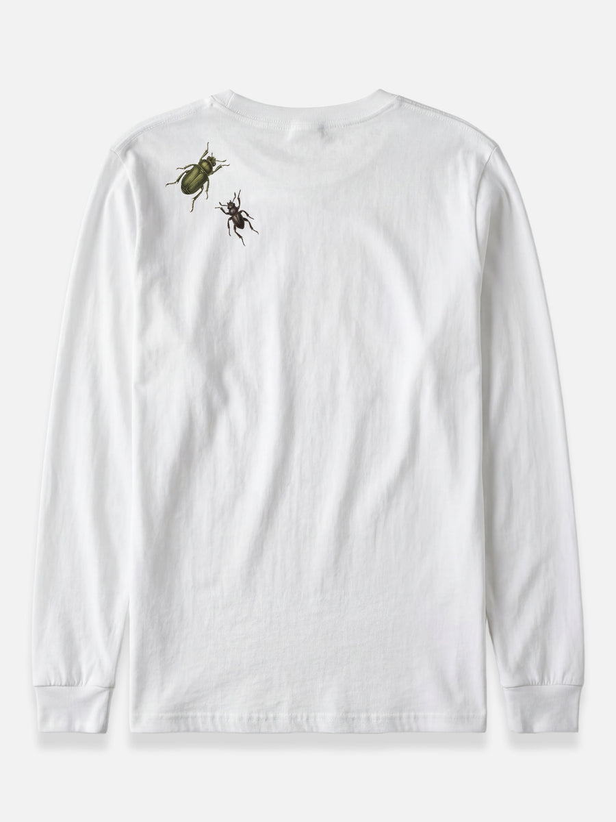 Lookbook image 5