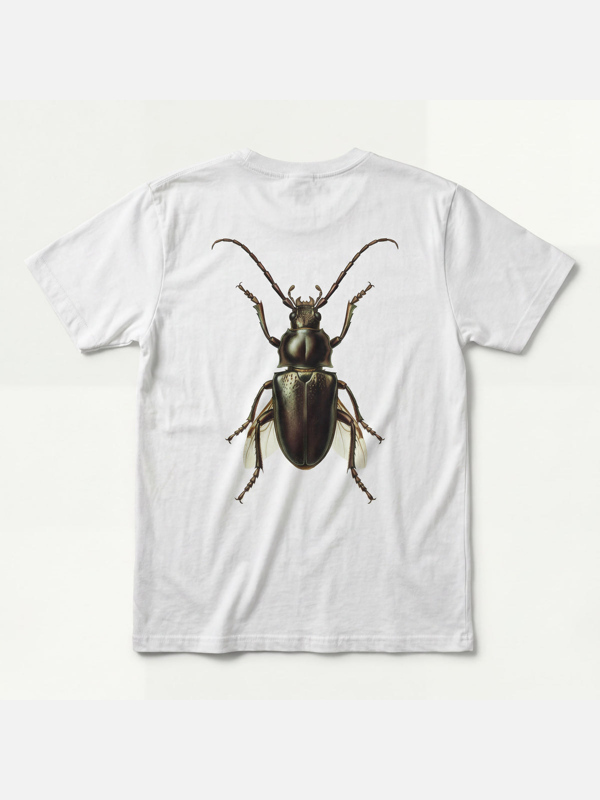 Lookbook image 5