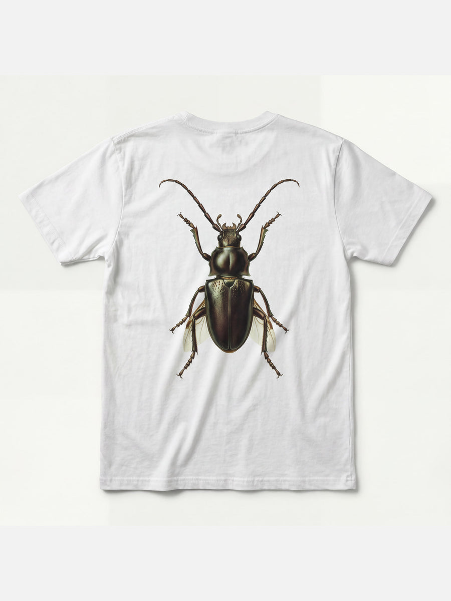 Lookbook image 5
