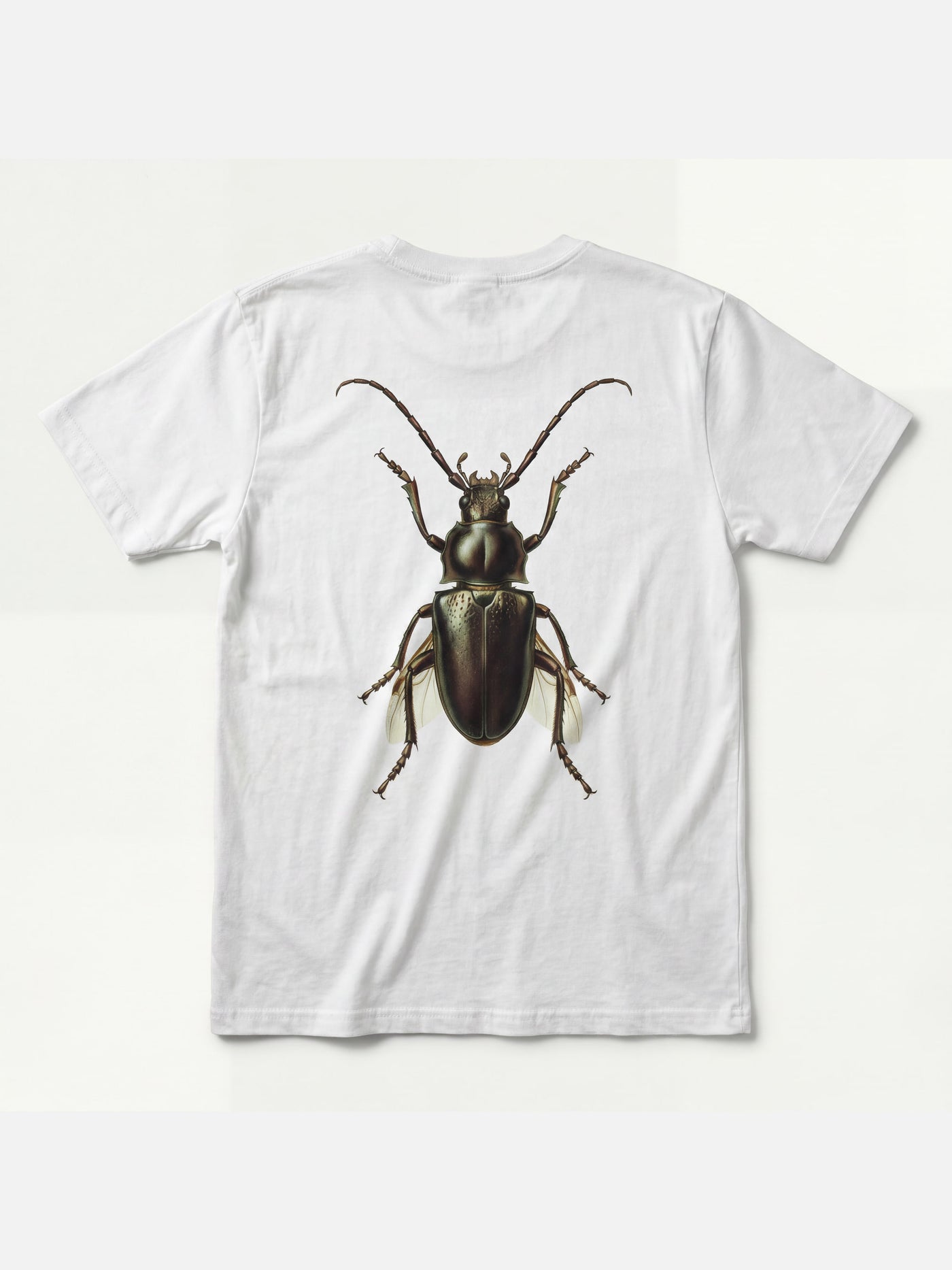 Lookbook image 5