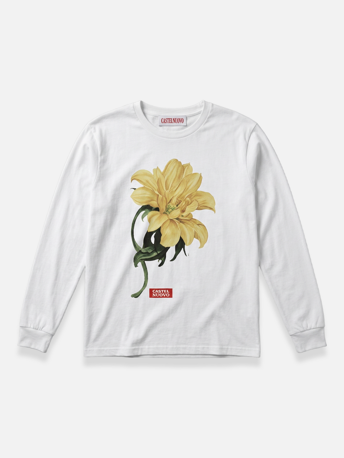 Flat-lay 1