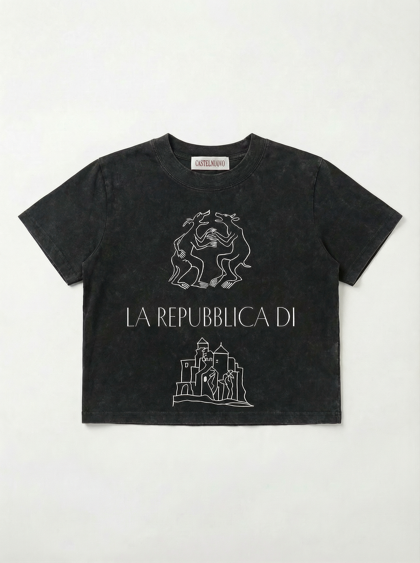 Emblem Crop Tee