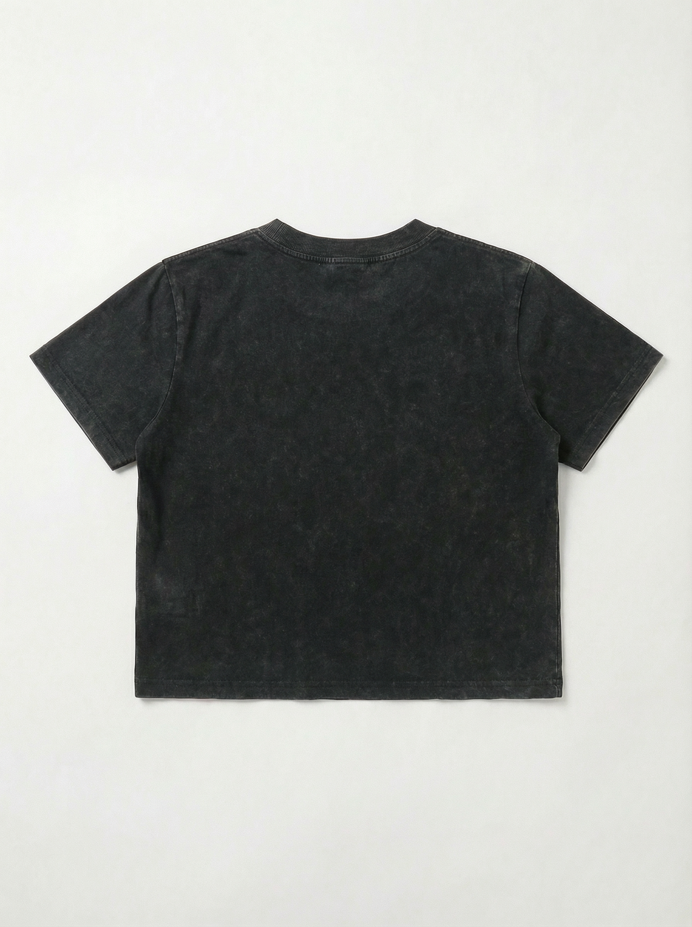 Emblem Crop Tee