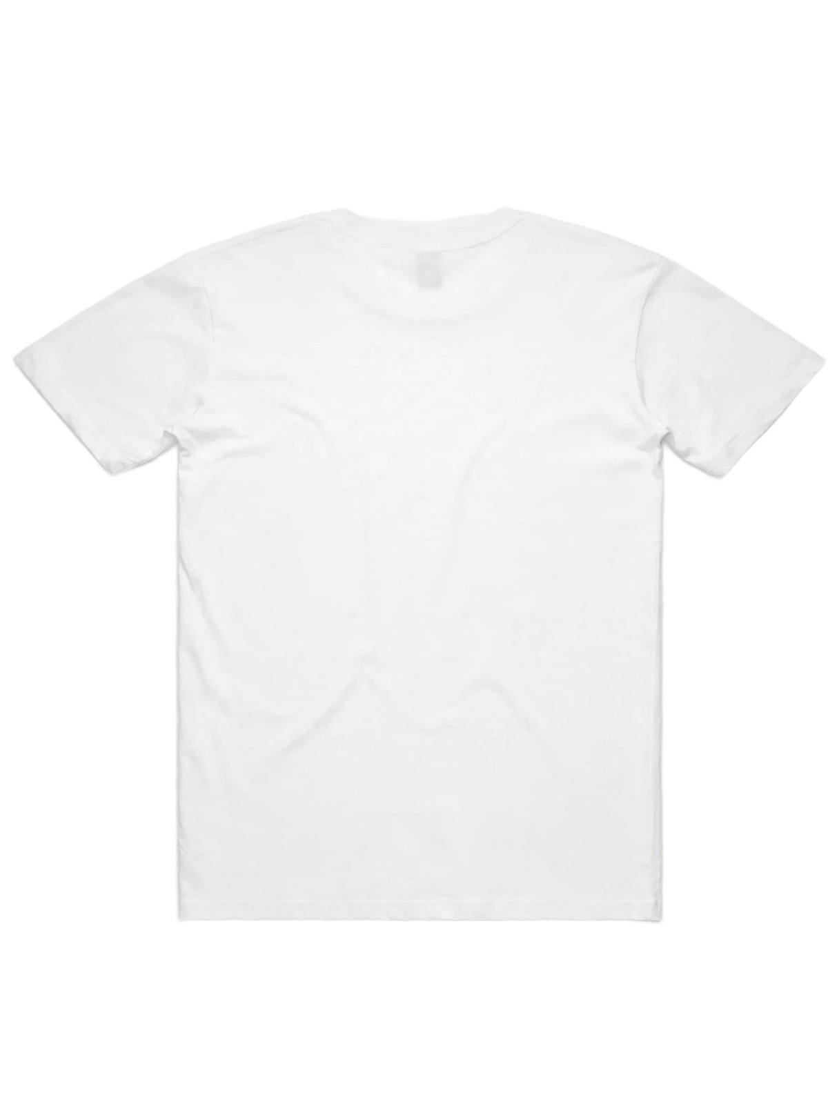 Ars Longa Tee in white, women's cut, flat lay