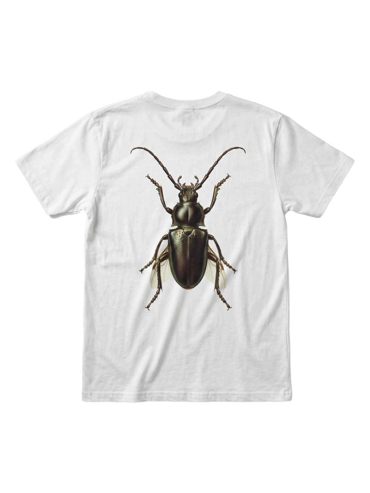 Cerambyx Tee in white, men's cut, flat lay