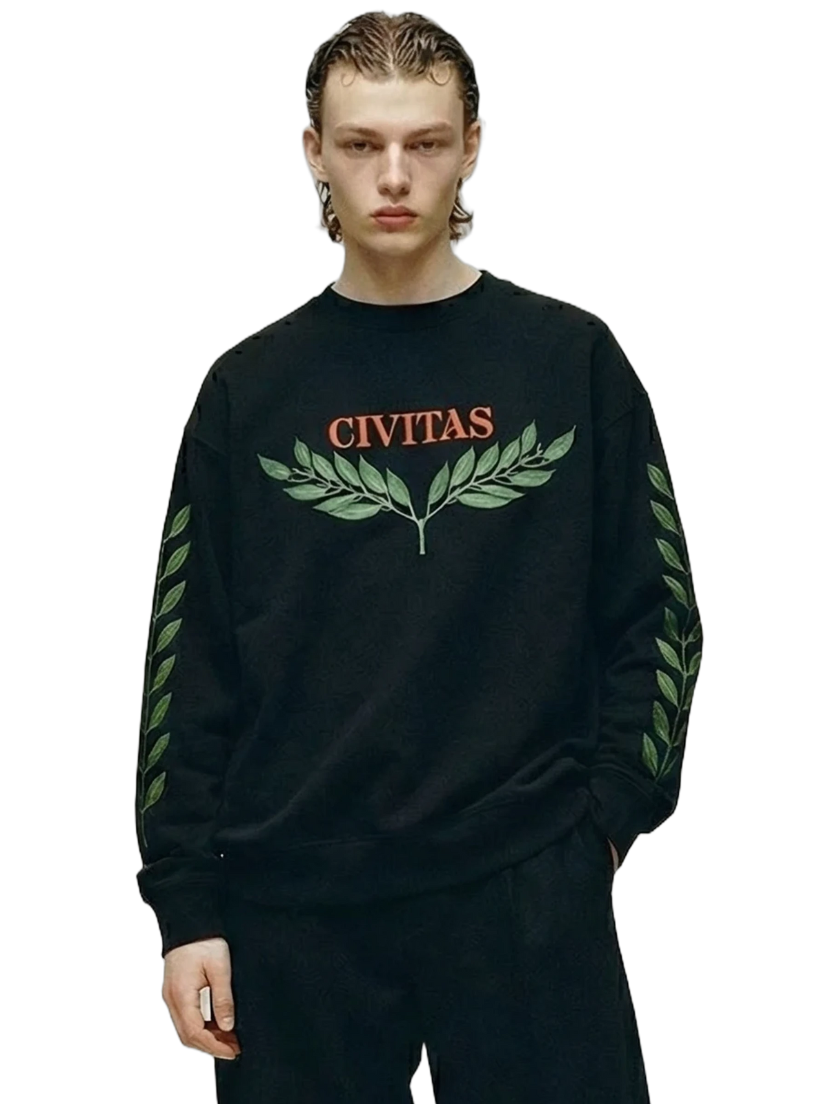 Civitas Crewneck in black, men's cut
