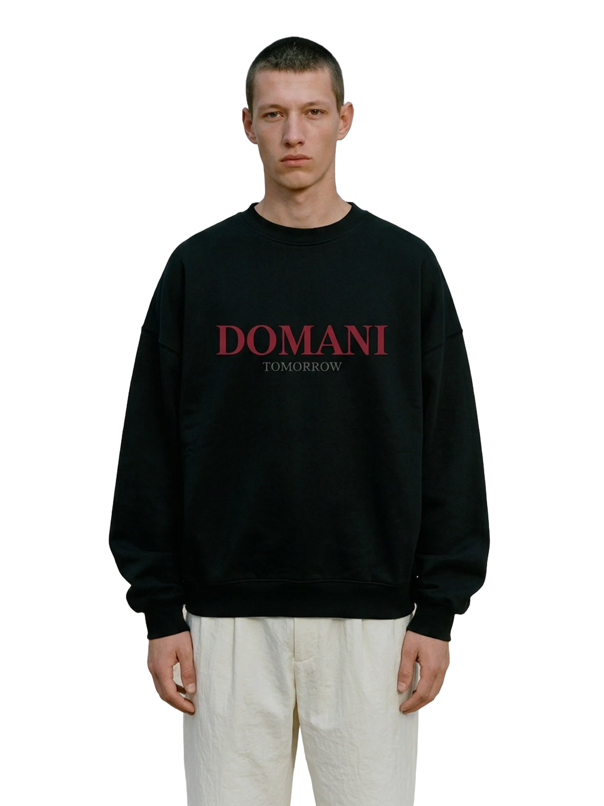 Domani Sweatshirt in black, men's cut