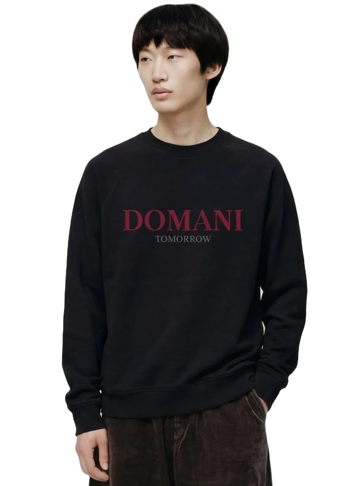 Domani Sweatshirt in black, men's cut