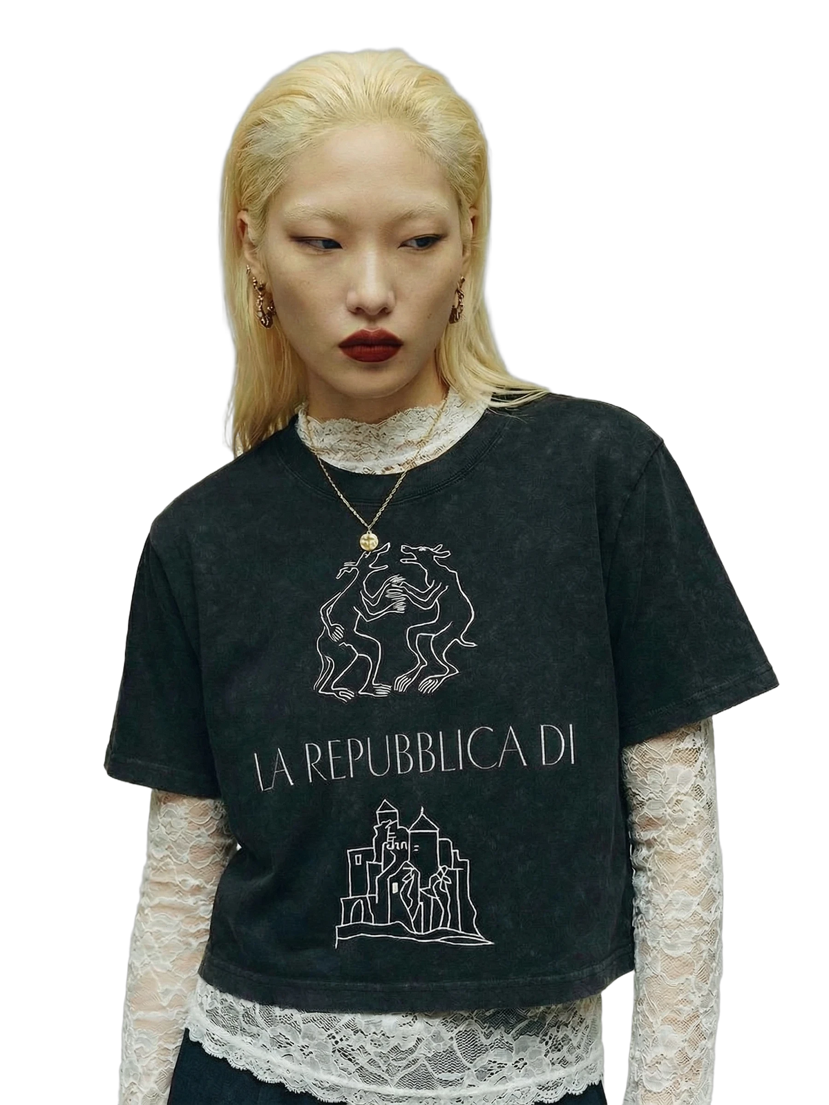 Emblem Crop Tee in black stone, print detail