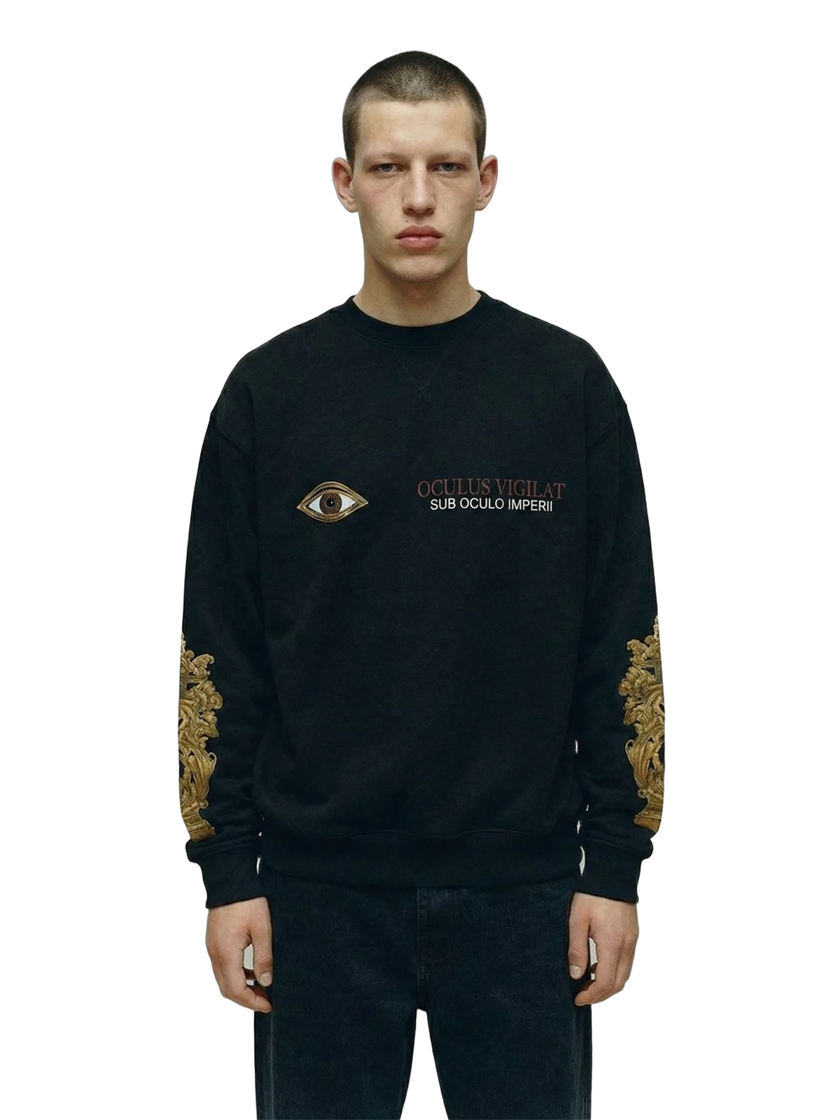 Oculus Vigilat Crewneck in black, men's cut