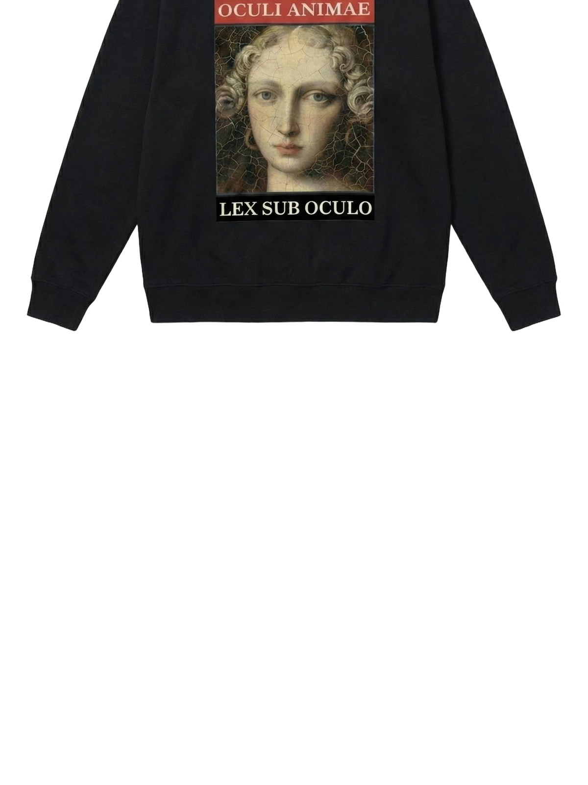 Sub Oculo Crewneck in black, men's cut