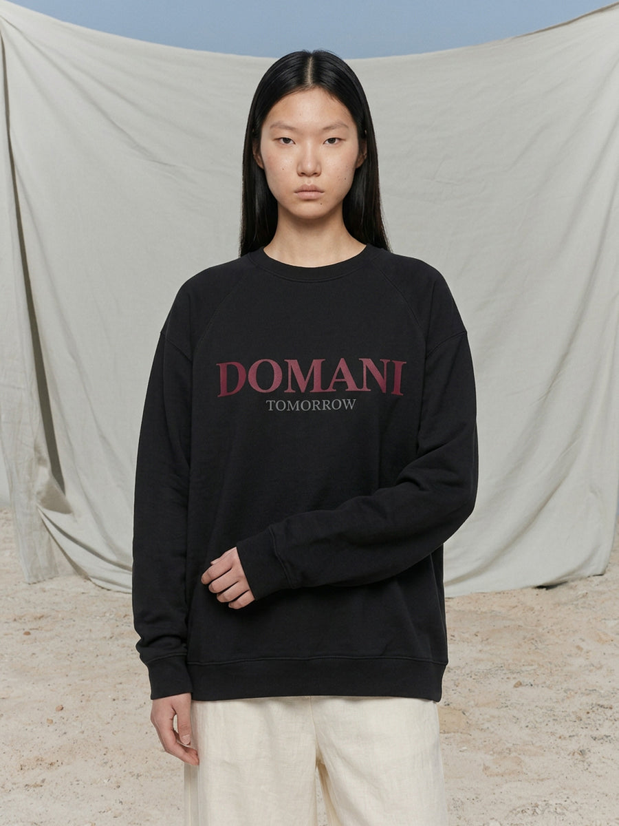 Domani Sweatshirt